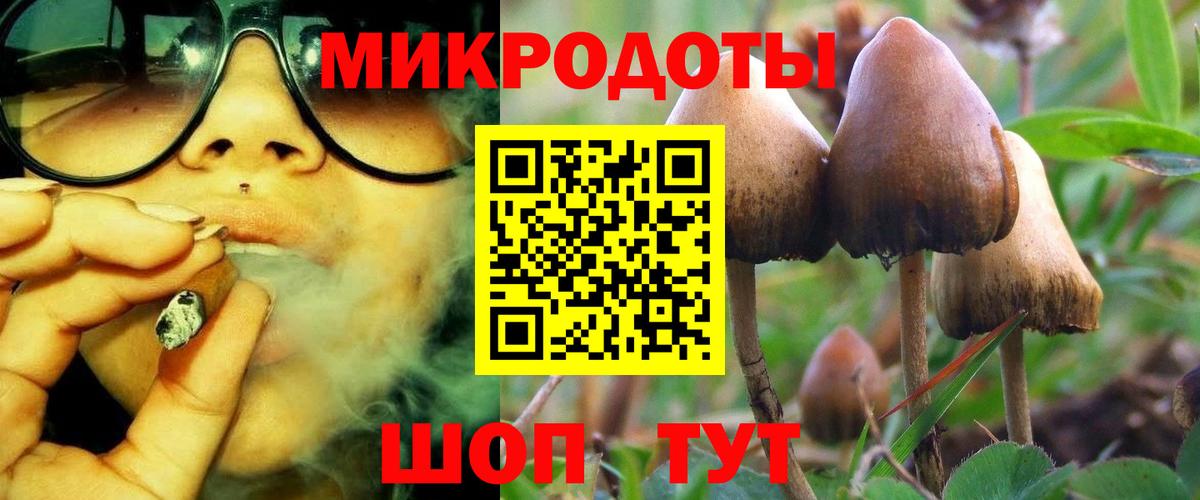 Псилоцибиновые грибы GOLDEN TEACHER Анжеро-Судженск