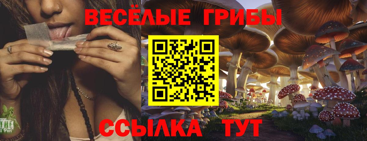 Анжеро-Судженск  Галлюциногенные грибы Magic Shrooms  Вход с VPN  Псилоцибиновые грибы прущие грибы 